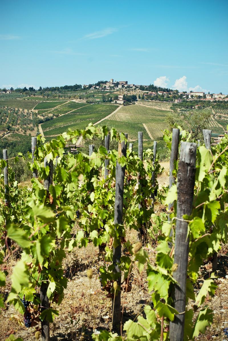 Vigneti del Chianti con borgo sulla collina