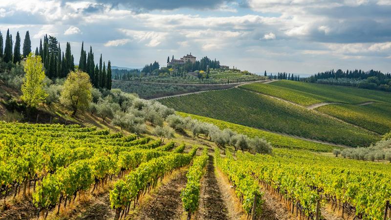 Vigneti e cipressi sulle colline toscane